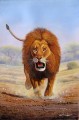 アフリカからライオンを前進させるマグウェ